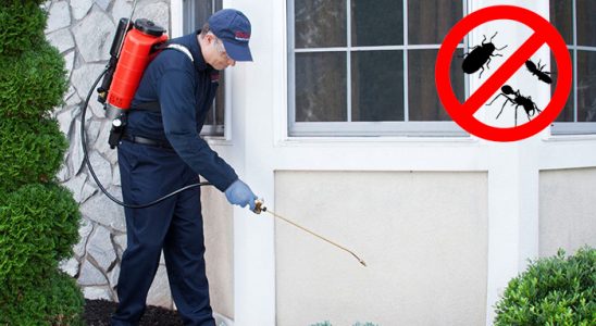Orta Tahtakurusu İlaçlama böcek ilaçlama ve haşere kontrolü — ilaclama-tr.com